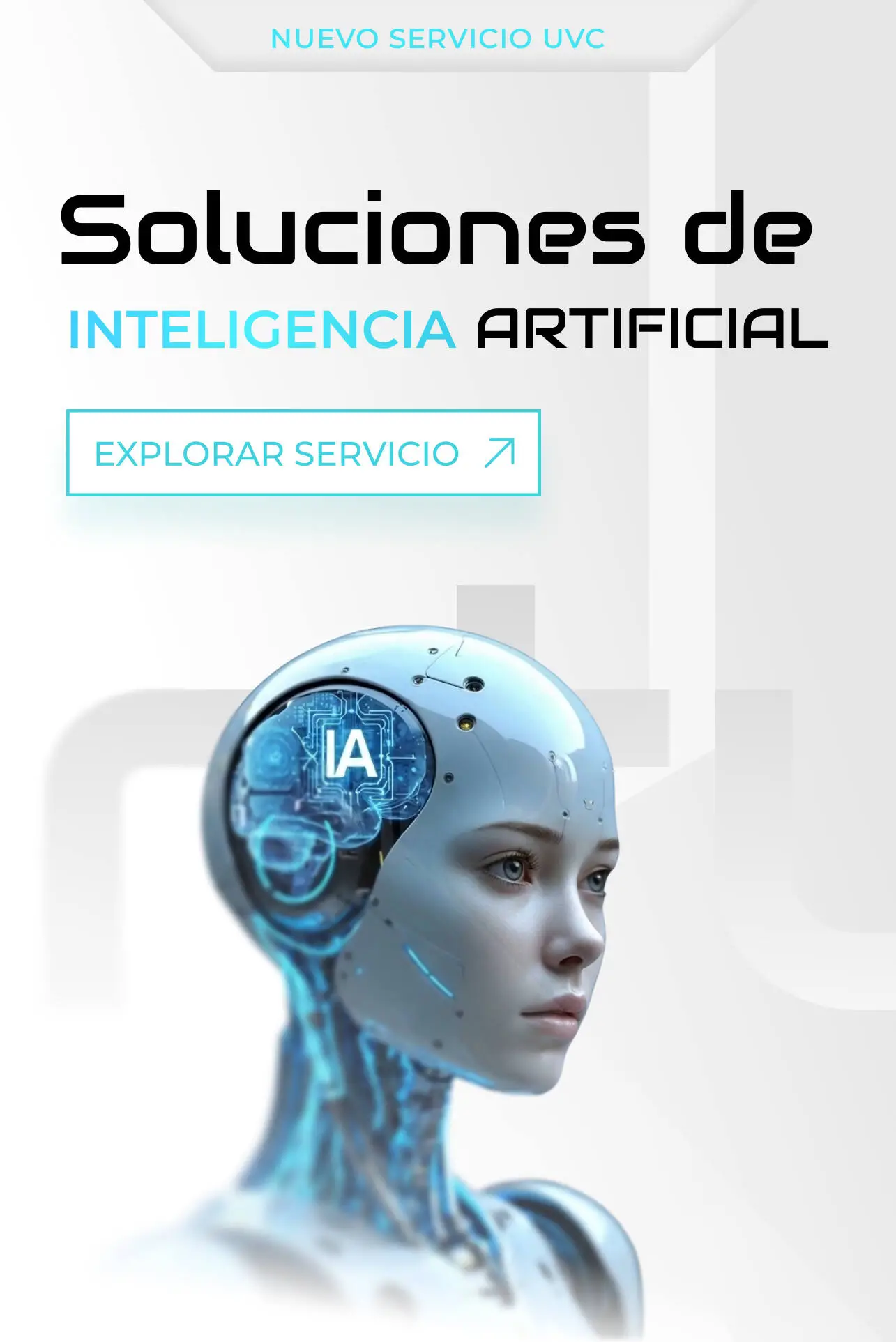UNIVERSO VIRTUAL COMUNICACIONES S.A.S.